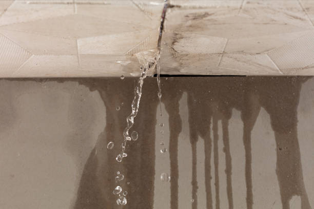 Professional Structural Drying technician working in Calverton, NY